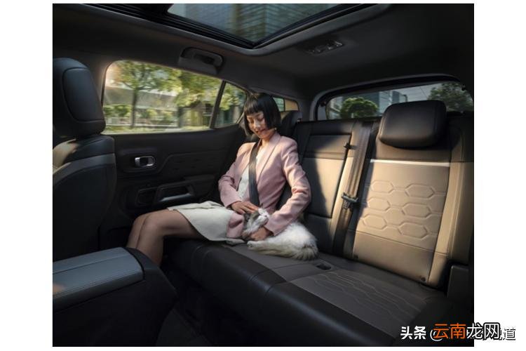 为什么不建议买天逸 天逸销量为什么这么差