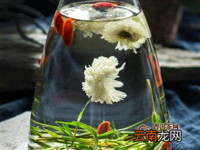 菊花茶的种类