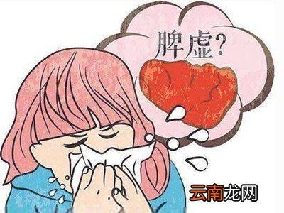 脾虚怎么调理最快
