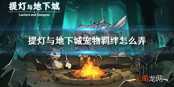 提灯与地下城宠物羁绊怎么弄 提灯与地下城宠物羁绊攻略