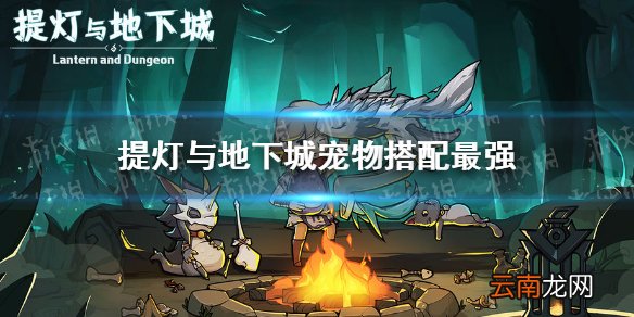 提灯与地下城宠物搭配最强 提灯与地下城最强宠物搭配攻略