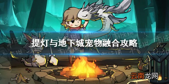 提灯与地下城宠物融合攻略 提灯与地下城宠物融合玩法介绍