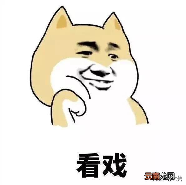 在哪里能看到热搜排名 热搜是什么在哪里看