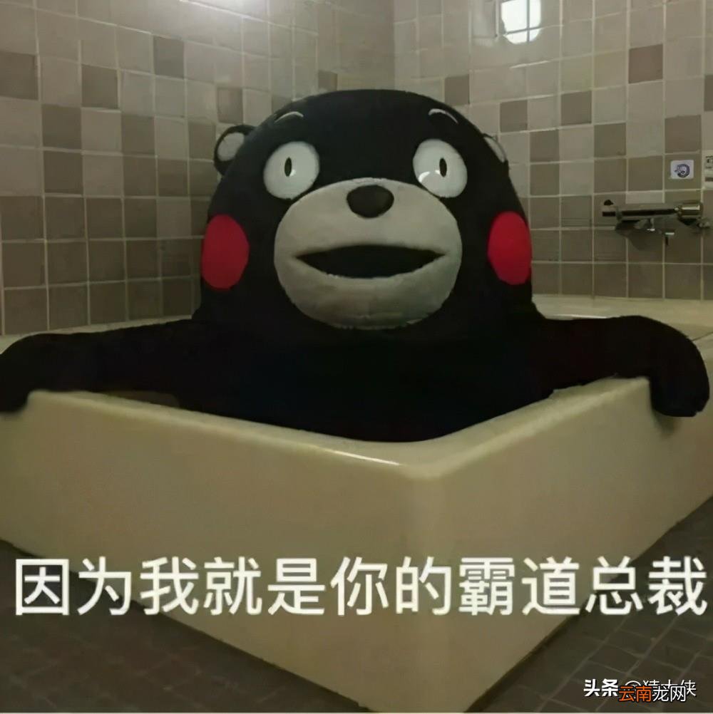 在哪里能看到热搜排名 热搜是什么在哪里看