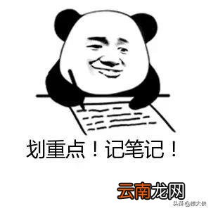 在哪里能看到热搜排名 热搜是什么在哪里看