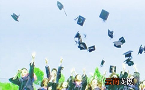 大学毕业工作实习总结
