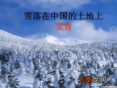 雪落在中国的土地上