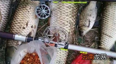 钓大鱼的最佳水深是多少 钓大鱼水深多少合适