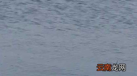 初春季钓鱼选择什么位置最好 春季钓鱼选择什么位置最好