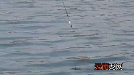 初春季钓鱼选择什么位置最好 春季钓鱼选择什么位置最好