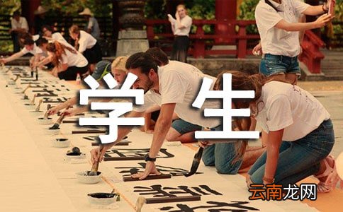 毕业设计学生工作总结