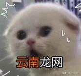 文件管理怎么看微信聊天记录 微信聊天记录在哪个文件夹里