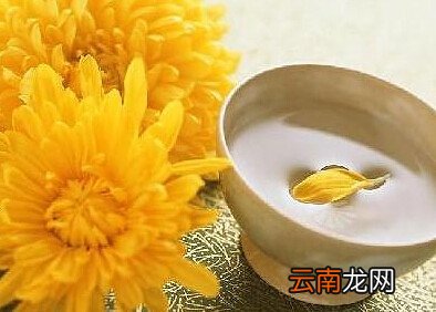 孕妇能喝菊花茶吗