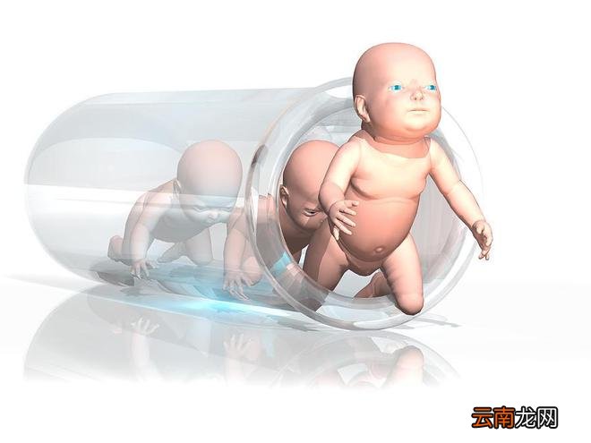 体外受精是指什么