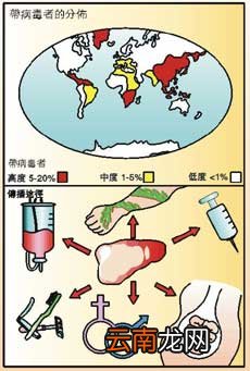 病原携带者是指