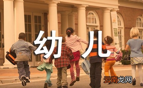 幼儿年度工作计划汇编6篇