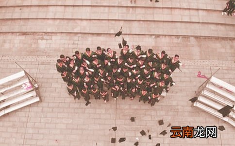 应届毕业生工作总结模板4篇-毕业总结