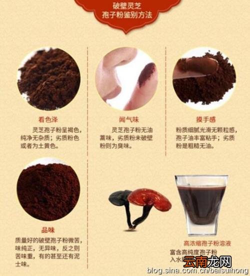灵芝孢子粉的正确吃法