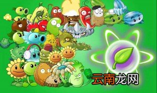 植物大战僵尸对战可以换什么植物 可以换这六种植物