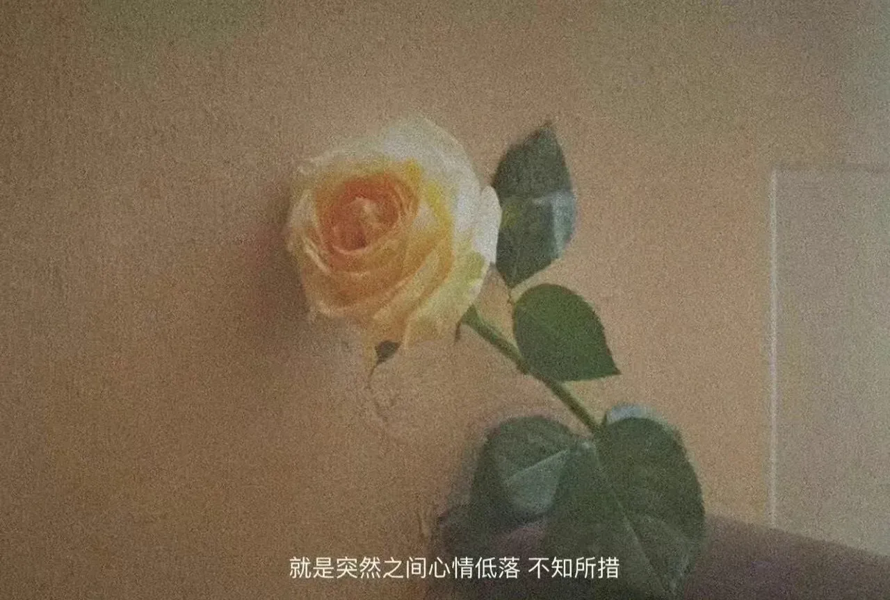怎么用手机赚钱还安全 用手机挣钱