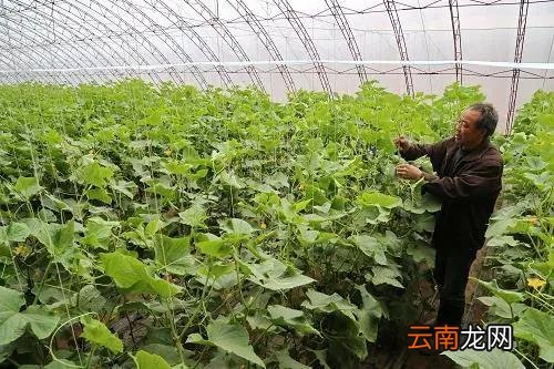 基本农田征地补偿标准 农村征用耕地每亩补偿多少钱