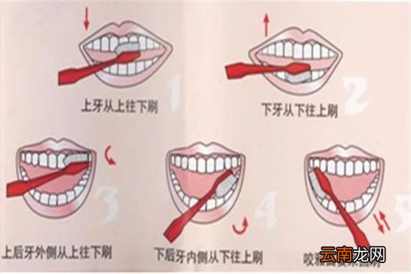 刷牙的正确方法