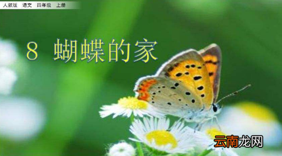 蝴蝶的家课文好句是什么