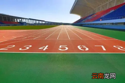 综合素质评价体育特长情况是什么?