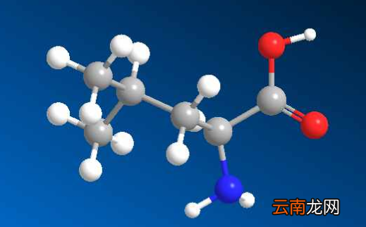 氨基酸是从哪里提取