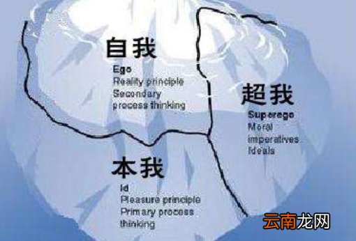 关于弗洛伊德的本我自我和超我的理论