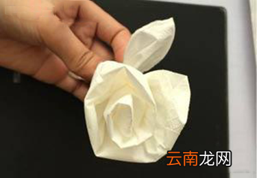 纸巾折玫瑰花教程
