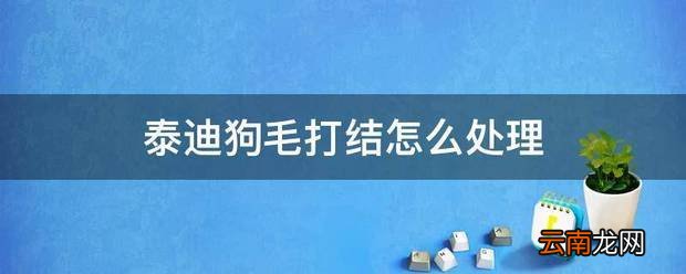 泰迪狗毛打结怎么处理 泰迪怎么剪狗毛