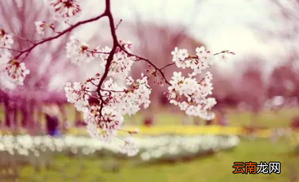 简短的劝节哀的句子 劝节哀的话