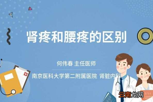 肾疼和腰疼的区别图
