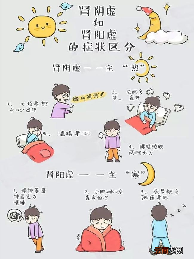 肾阳虚和肾阴虚有什么区别症状