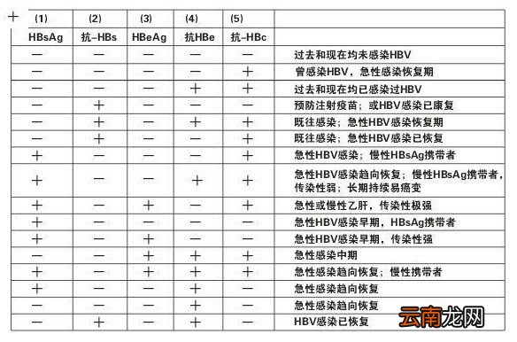乙肝大三阳和小三阳的区别