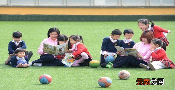 幼儿园实习内容及总结