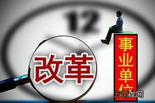 事业单位管理条例第二十条规定重点考核什么内容