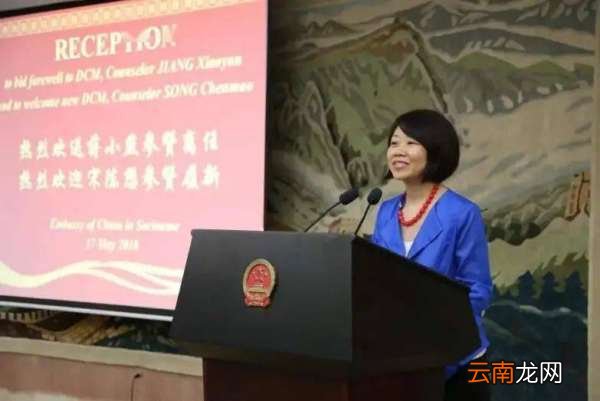 外交部新闻司迎来新任女副司长蒋小燕，她之前是啥职位