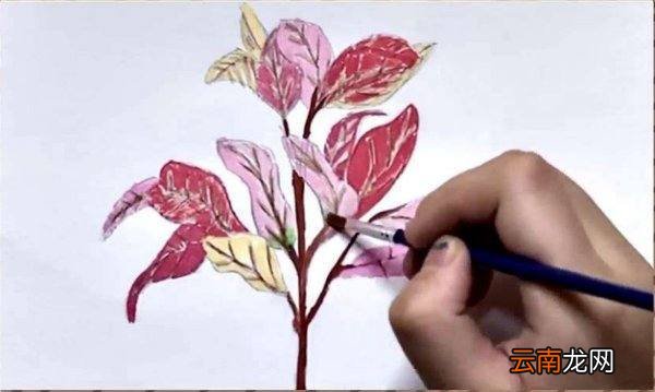 水彩画入门的基础画教程