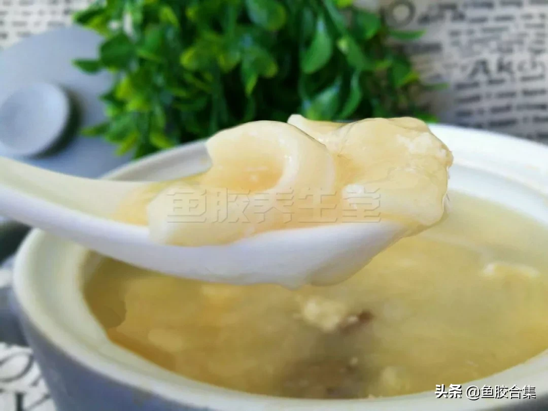 正确炖鱼胶的10种方法 鱼胶的吃法和做法步骤