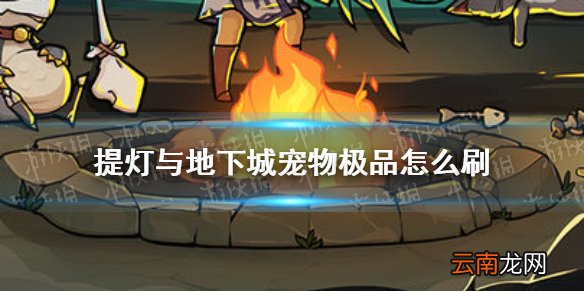 提灯与地下城宠物极品怎么刷 提灯与地下城宠物极品属性介绍