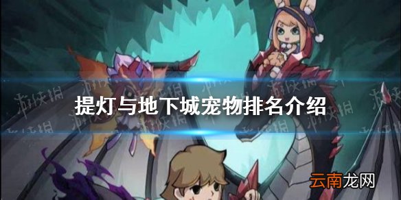 提灯与地下城宠物排名一览 提灯与地下城宠物什么好