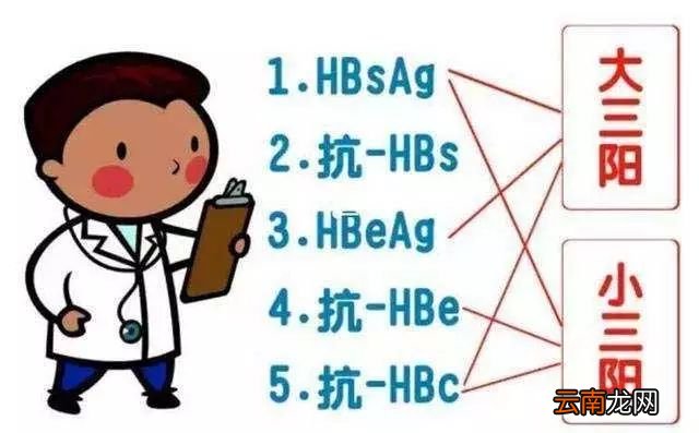 大三阳和小三阳区别