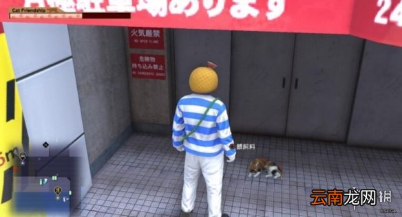 如龙6神室町猫咪都在哪 如龙6神室町猫咪位置分享