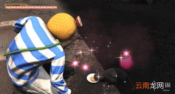 如龙6神室町猫咪都在哪 如龙6神室町猫咪位置分享
