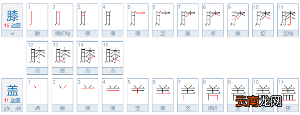 膝盖怎么写