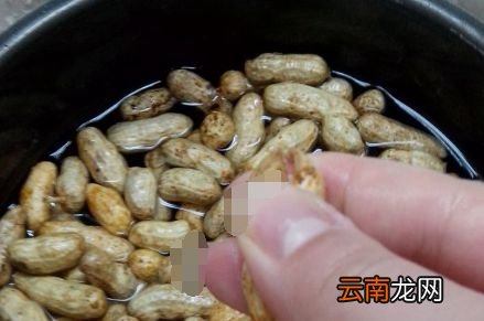 带壳花生高压锅煮多久