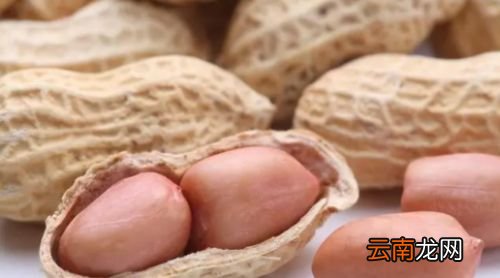 花生米泡多久煮最好