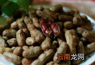 煮花生水多久才能煮熟